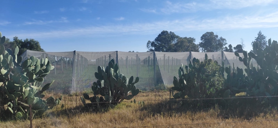 4 Bedroom Property for Sale in Bainsvlei Free State